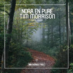 Lire la suite à propos de l’article Nora En Pure & Tim Morrison signent « Come Away », une bombe deep-house via Enormous Tunes