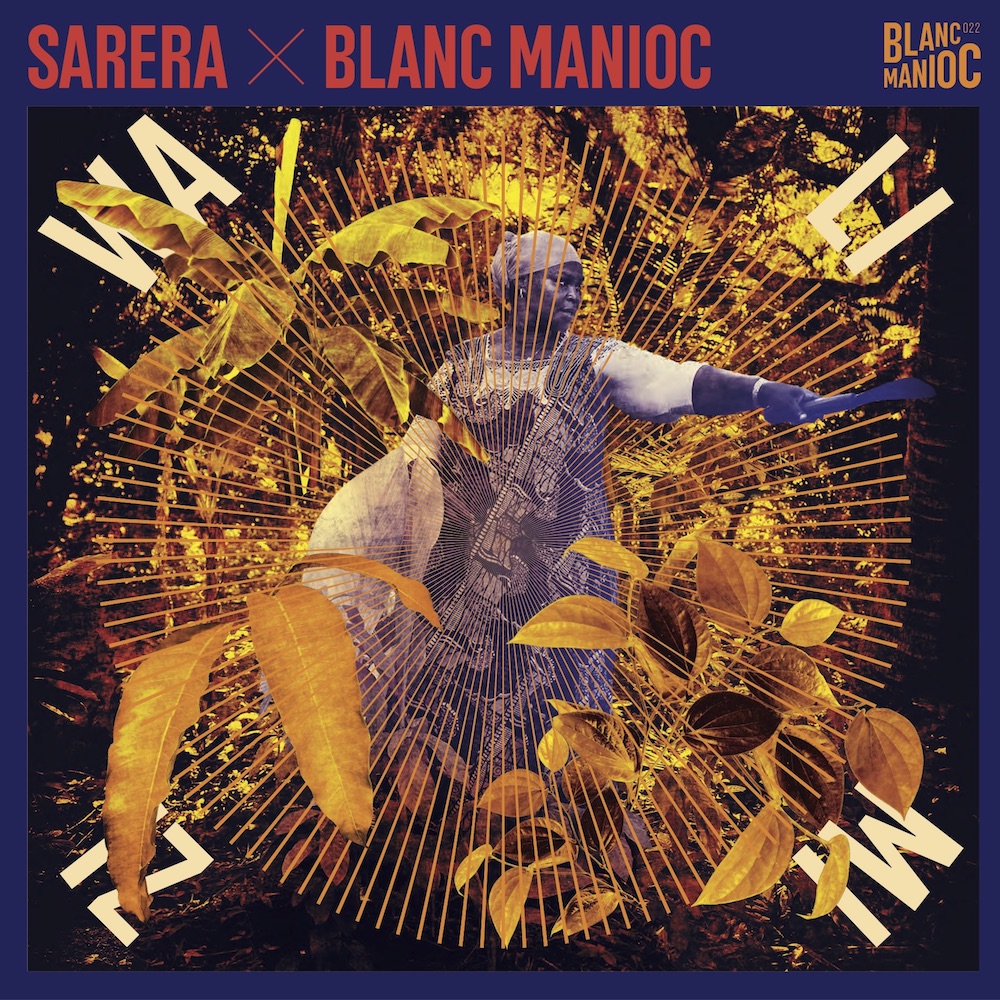 You are currently viewing Sarera et le label Blanc Manioc dévoile <em>Walimizi</em>, premier disque de musique électronique enregistré à Mayotte