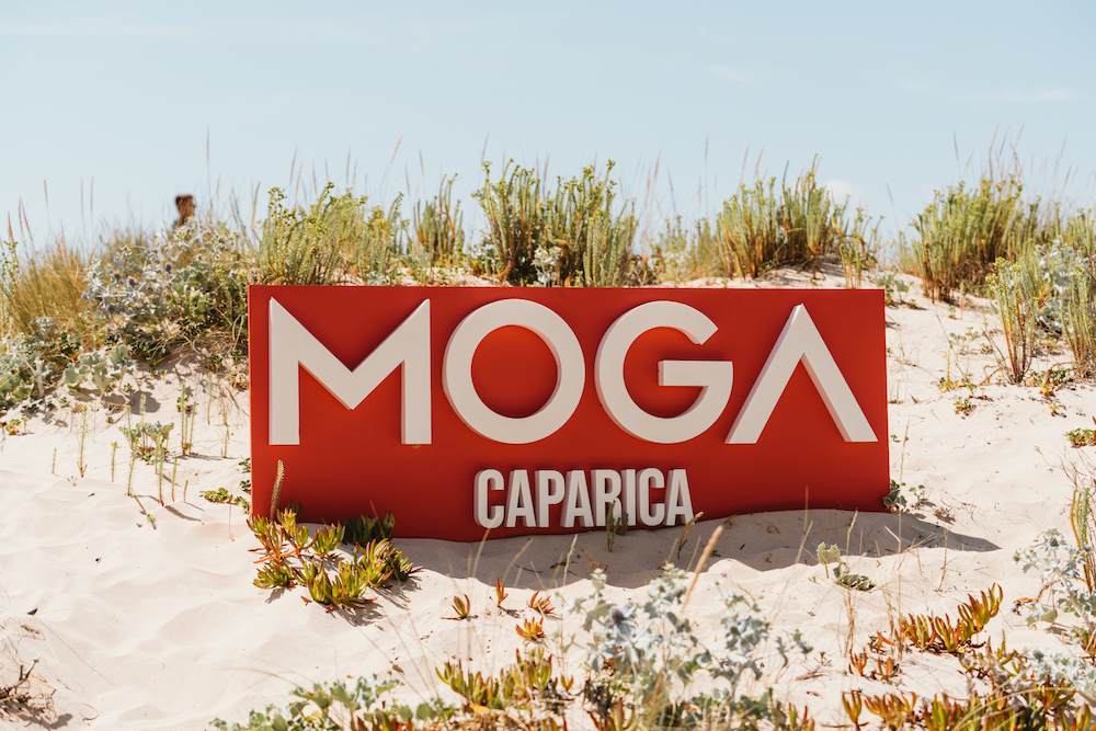 You are currently viewing MOGA Caparica 2023 : retour sur 5 jours de découvertes, de musique et de bonheur !