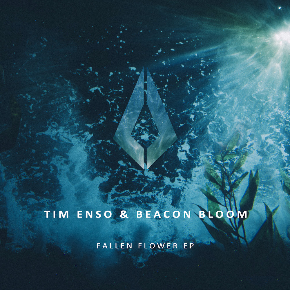 You are currently viewing Tim Enso & Beacon Bloom s’unissent pour l’EP énergique <em>Fallen Flower</em> via Purified Records