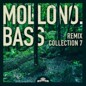 Lire la suite à propos de l’article Mollono.Bass dévoile le septième volet de sa série <em>Remix Collection</em> via 3000Grad