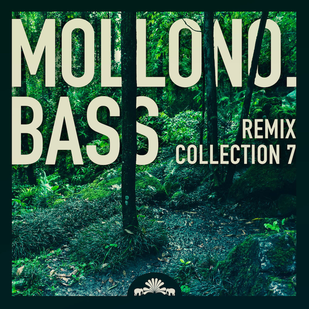 You are currently viewing Mollono.Bass débarque le septième volet de sa série <em>Remix Collection</em> via 3000Grad