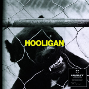 Lire la suite à propos de l’article TWERL sort un nouveau single sur NIGHTMODE avec un single redoutable « Hooligan »
