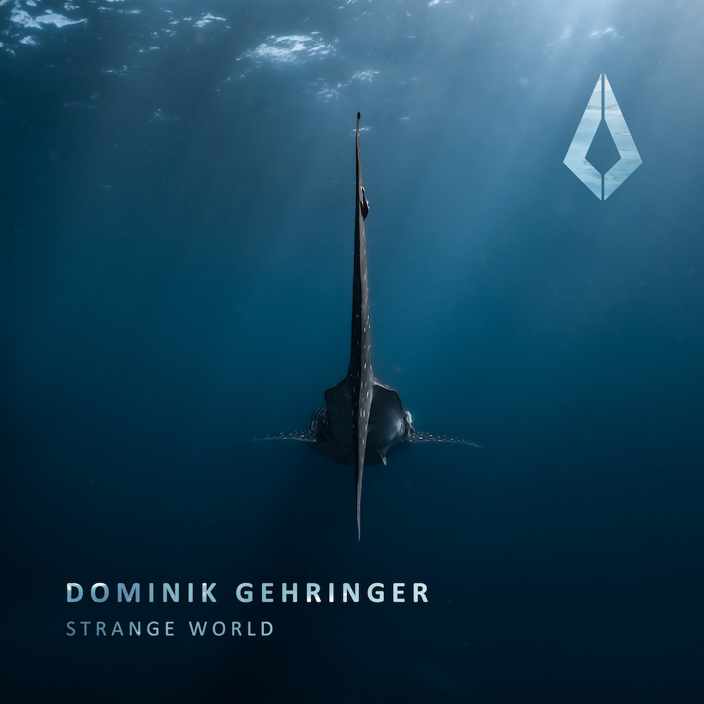 You are currently viewing Dominik Gehringer revisite « Strange World », l’hymne emblématique de Push via Purified Records