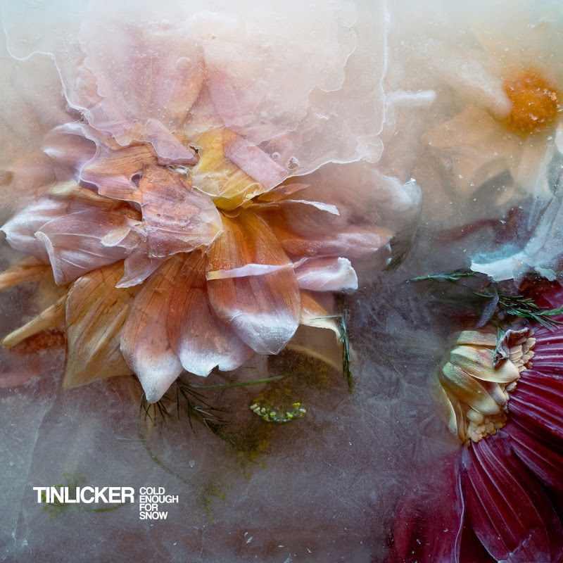 You are currently viewing Tinlicker annonce la sortie de son troisième album <em>Cold Enough For Snow</em> en partageant le titre « Glasshouse Feat. Julia Church » via [PIAS] Électronique