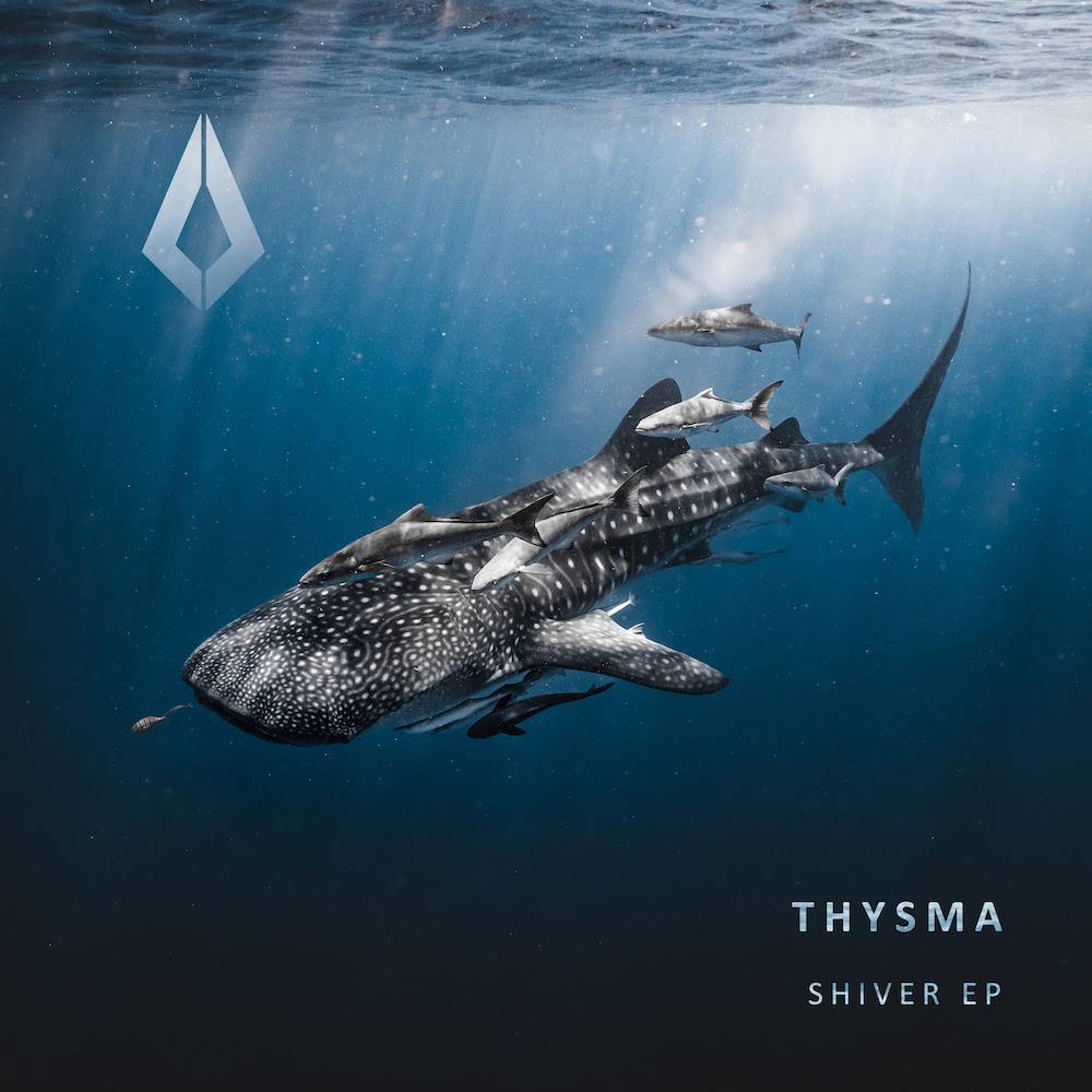 You are currently viewing Le producteur néerlandais Thysma dévoile un EP, <em>Shiver</em>, via Purified Records