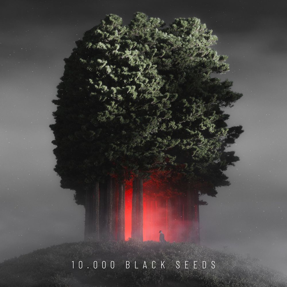 Lire la suite à propos de l’article Björn Torwellen revient avec un nouvel album, <em>10.000 Black Seeds</em>,  via Nachtstrom Schallplatten