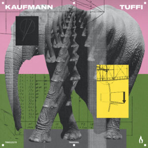 Lire la suite à propos de l’article Kaufmann signe un EP de deux titres, <em>Tuffi</em>, via Truesoul