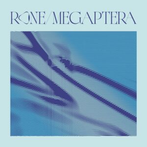 Lire la suite à propos de l’article Rone imagine <em>Megaptera</em>, un album de 15 titres conçu avec le collectif (LA)Horde et le Ballet National de Marseille, via InFiné