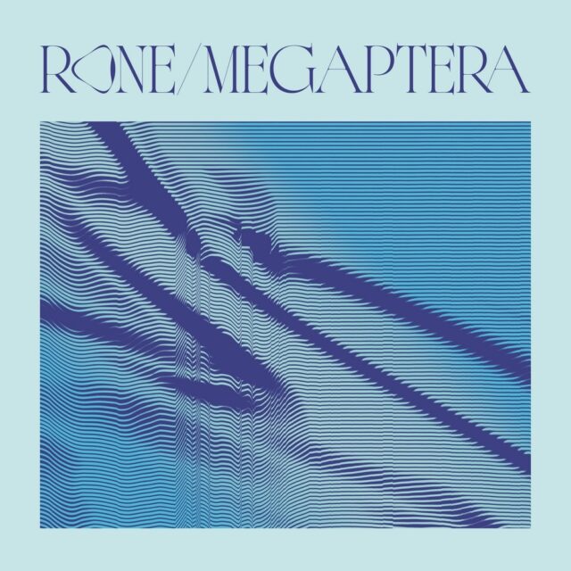 Rone sort album 15 titres appelé Megaptera Electronic-Ambient