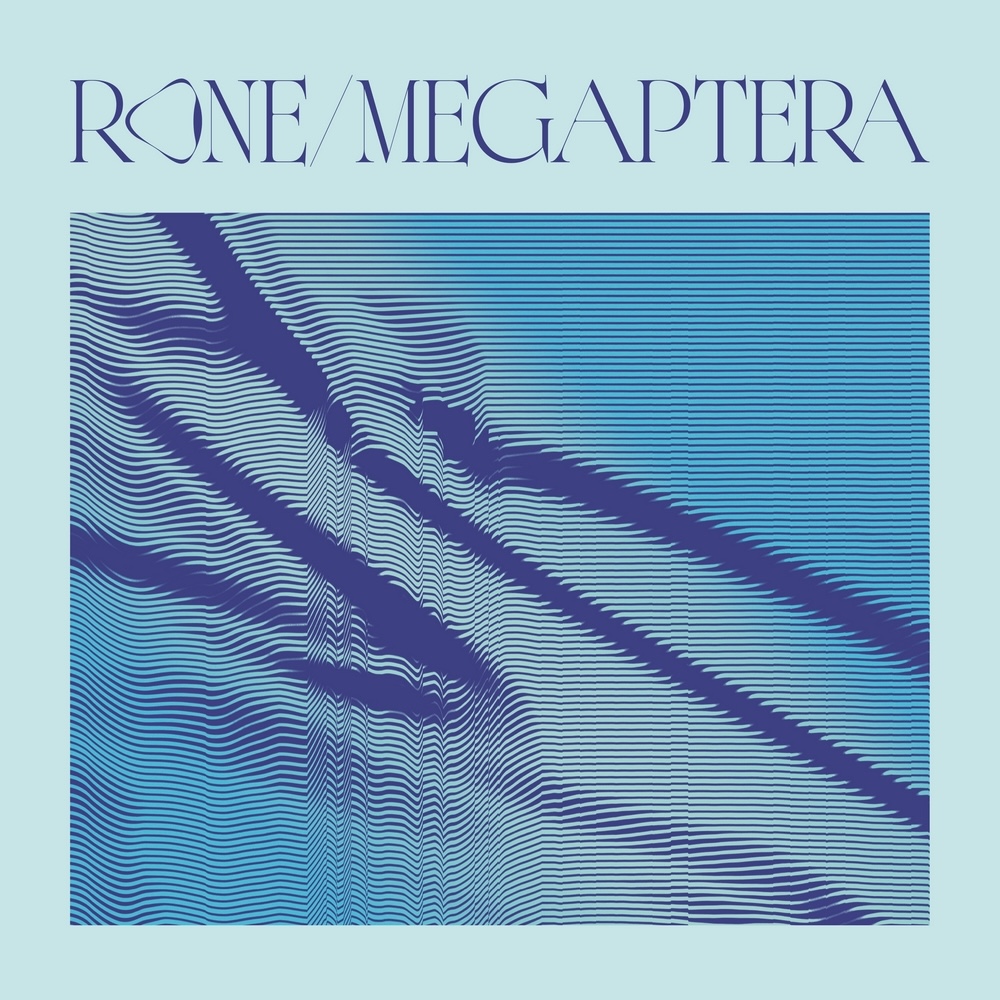 You are currently viewing Rone imagine <em>Megaptera</em>, un album de 15 titres conçu avec le collectif (LA)Horde et le Ballet National de Marseille, via InFiné