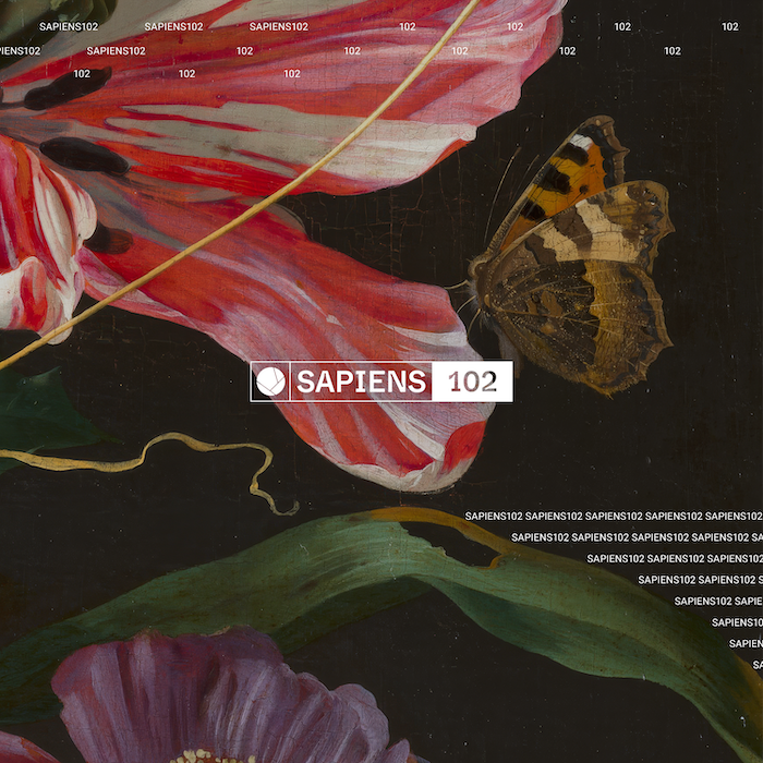 You are currently viewing Vintage Culture revisite l&rsquo;hymne intemporel d&rsquo;Agoria, « Scala », sorti en 2013, via Sapiens Recordings